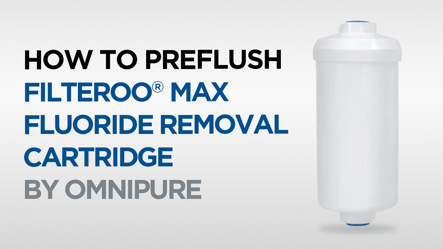 How to Preflush Filteroo Max Fluoride Removal Cartridge by Omnipure