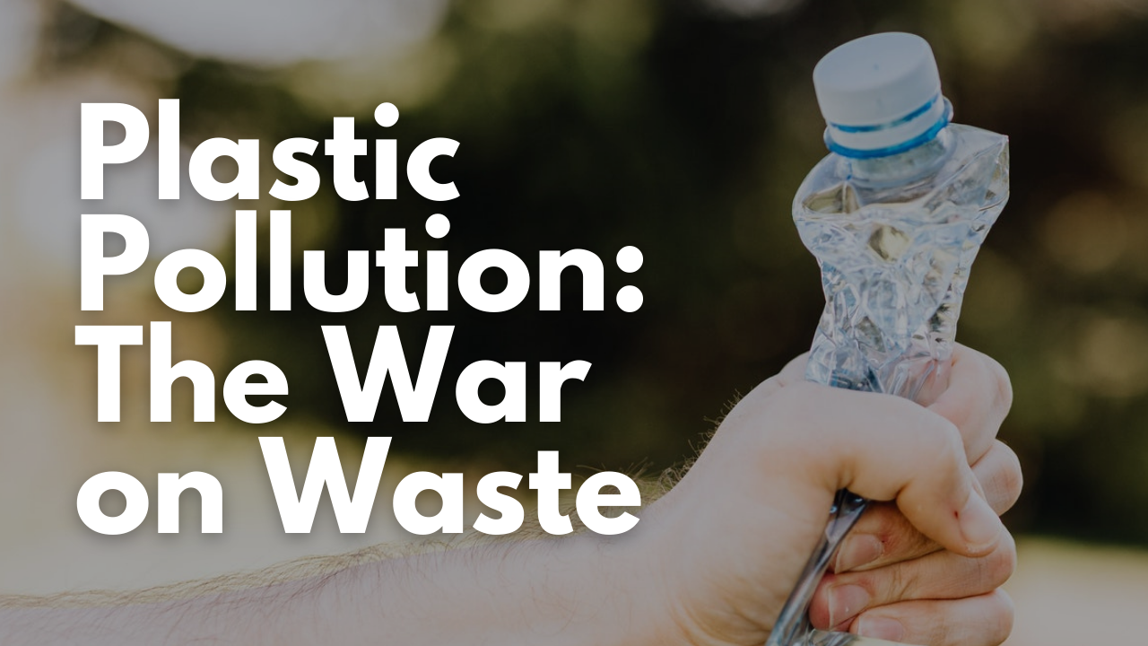 Plastic Pollution: The War on Waste and What You Can Do About It