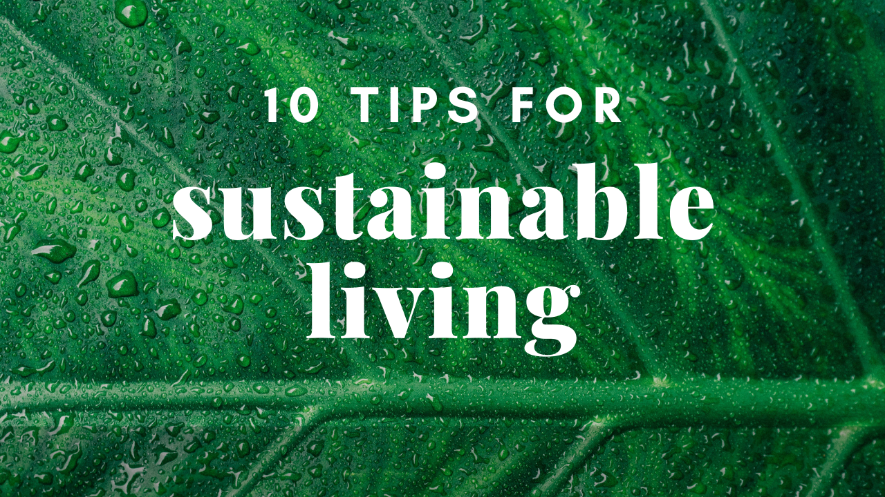 sustainable-living-tips